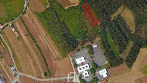 Terreno Agricola ou Rústico para Venda em Valega