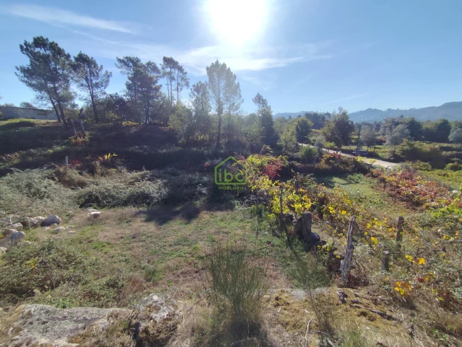 Terreno para Venda em Couto Foto 10