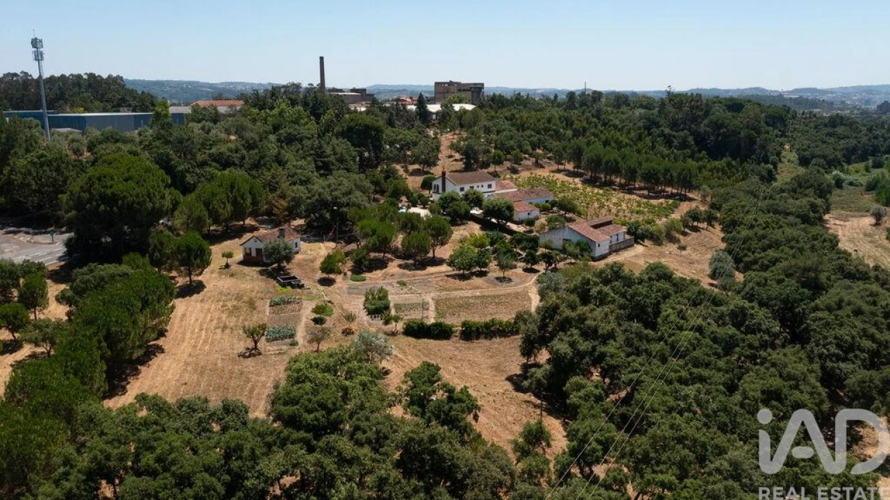 Moradia T4 para Venda em São Pedro de Tomar Foto 29