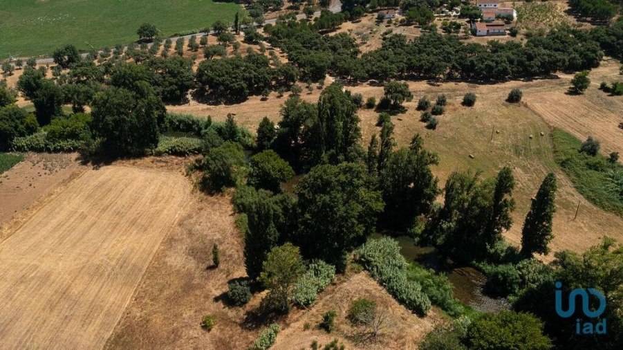 Moradia T4 para Venda em São Pedro de Tomar Foto 4