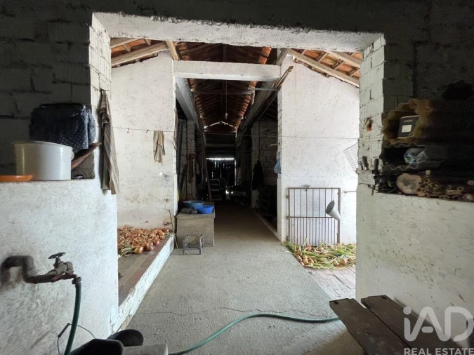 Moradia T4 para Venda em São Pedro de Tomar Foto 28