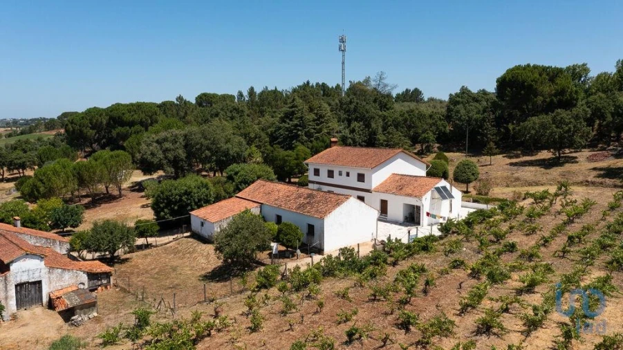 Moradia T4 para Venda em São Pedro de Tomar Foto 3