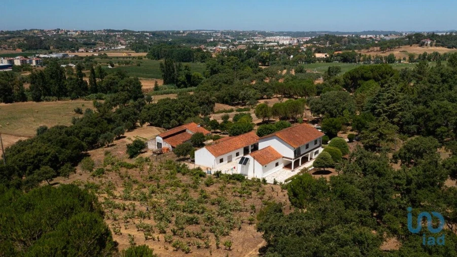 Moradia T4 para Venda em São Pedro de Tomar Foto 6