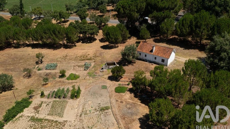 Moradia T4 para Venda em São Pedro de Tomar Foto 21