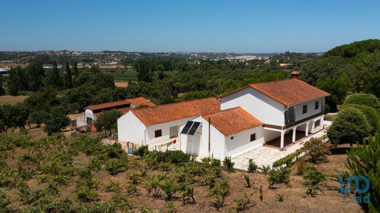 Moradia T4 para Venda em São Pedro de Tomar Foto 7