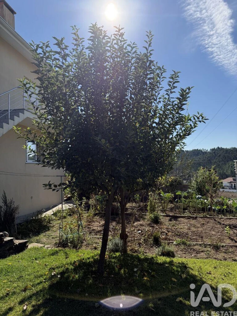 Moradia T3 para Venda em Canedo, Vale e Vila Maior Foto 21