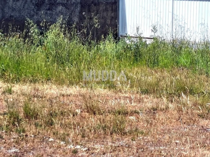 Terreno para Venda em Benedita Foto 4