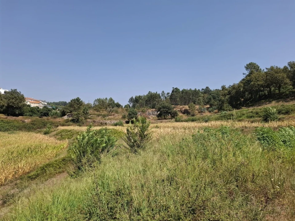 Quinta T5 para Venda em Prazins Santo Tirso e Corvite Foto 13