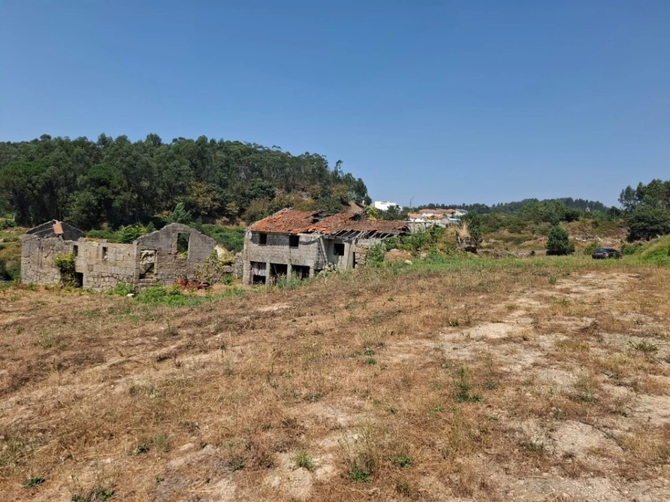 Quinta T5 para Venda em Prazins Santo Tirso e Corvite Foto 4