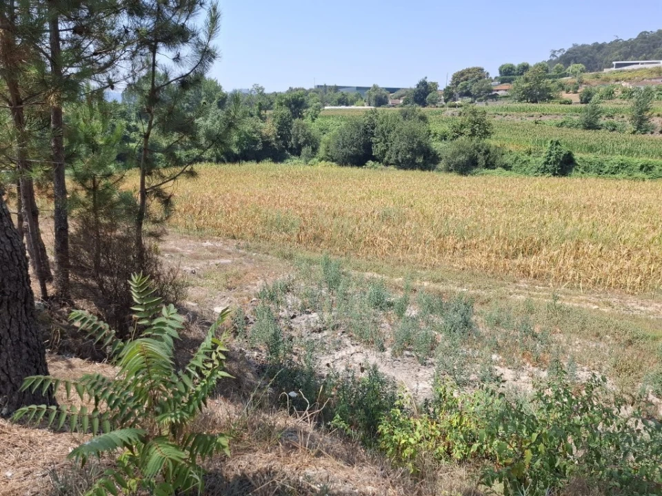 Quinta T5 para Venda em Prazins Santo Tirso e Corvite Foto 18
