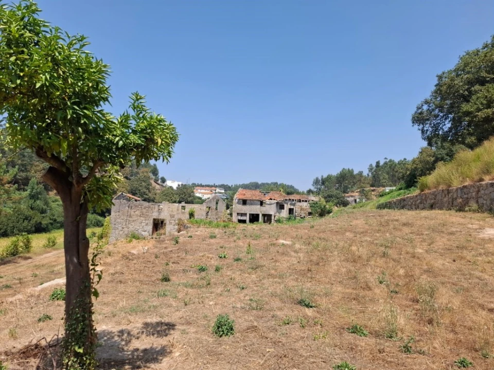 Quinta T5 para Venda em Prazins Santo Tirso e Corvite Foto 7