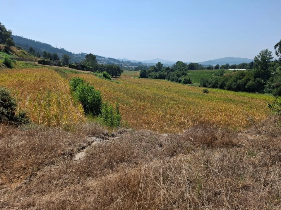 Quinta T5 para Venda em Prazins Santo Tirso e Corvite Foto 16