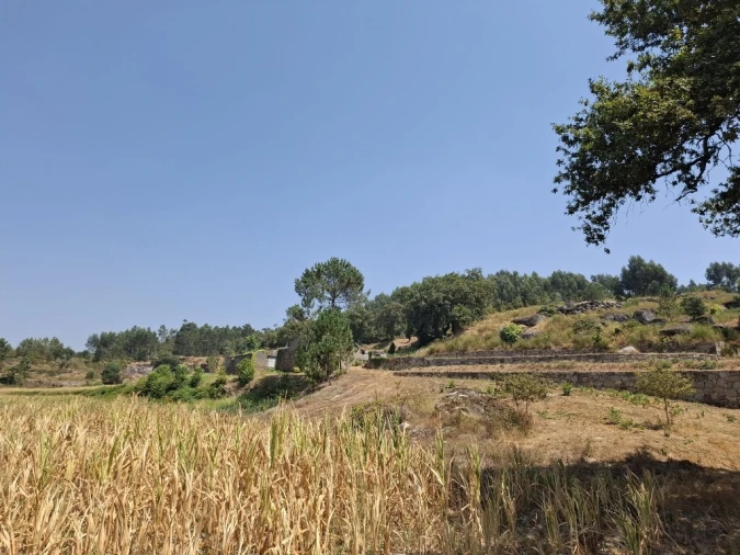 Quinta T5 para Venda em Prazins Santo Tirso e Corvite Foto 17