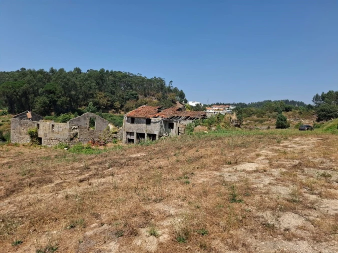 Quinta T5 para Venda em Prazins Santo Tirso e Corvite Foto 4