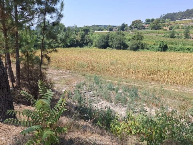 Quinta T5 para Venda em Prazins Santo Tirso e Corvite Foto 18