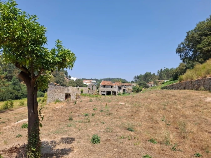 Quinta T5 para Venda em Prazins Santo Tirso e Corvite Foto 7