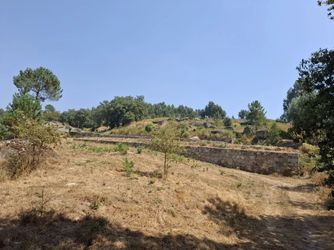 Quinta T5 para Venda em Prazins Santo Tirso e Corvite Foto 15