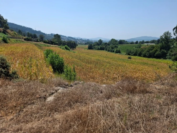 Quinta T5 para Venda em Prazins Santo Tirso e Corvite Foto 16