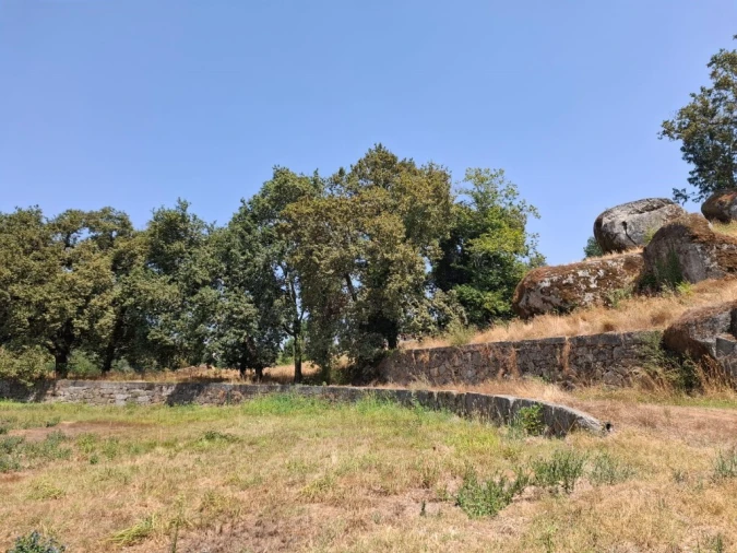 Quinta T5 para Venda em Prazins Santo Tirso e Corvite Foto 12