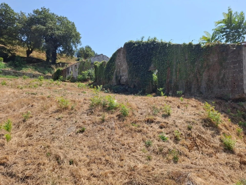 Quinta T5 para Venda em Prazins Santo Tirso e Corvite Foto 5