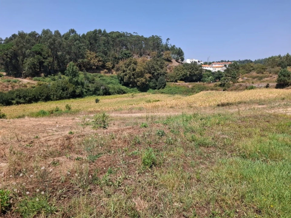 Quinta T5 para Venda em Prazins Santo Tirso e Corvite Foto 11