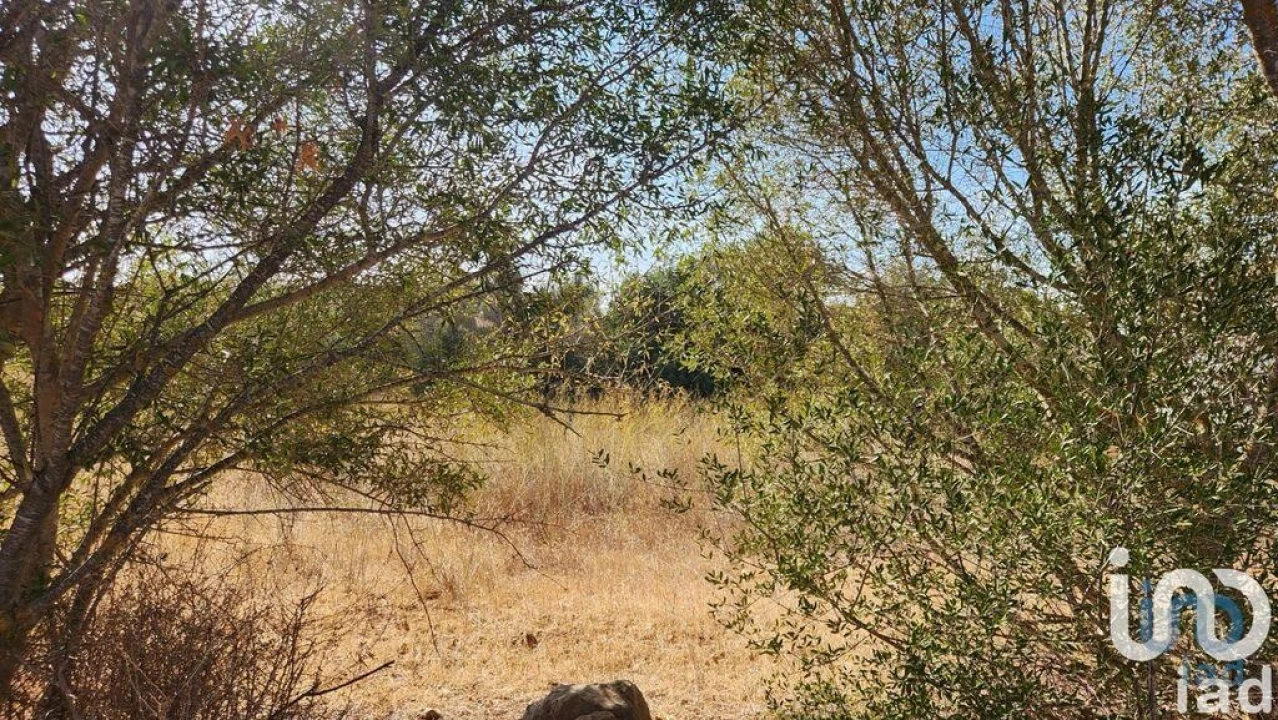 Terreno para Venda em Algoz e Tunes Foto 14