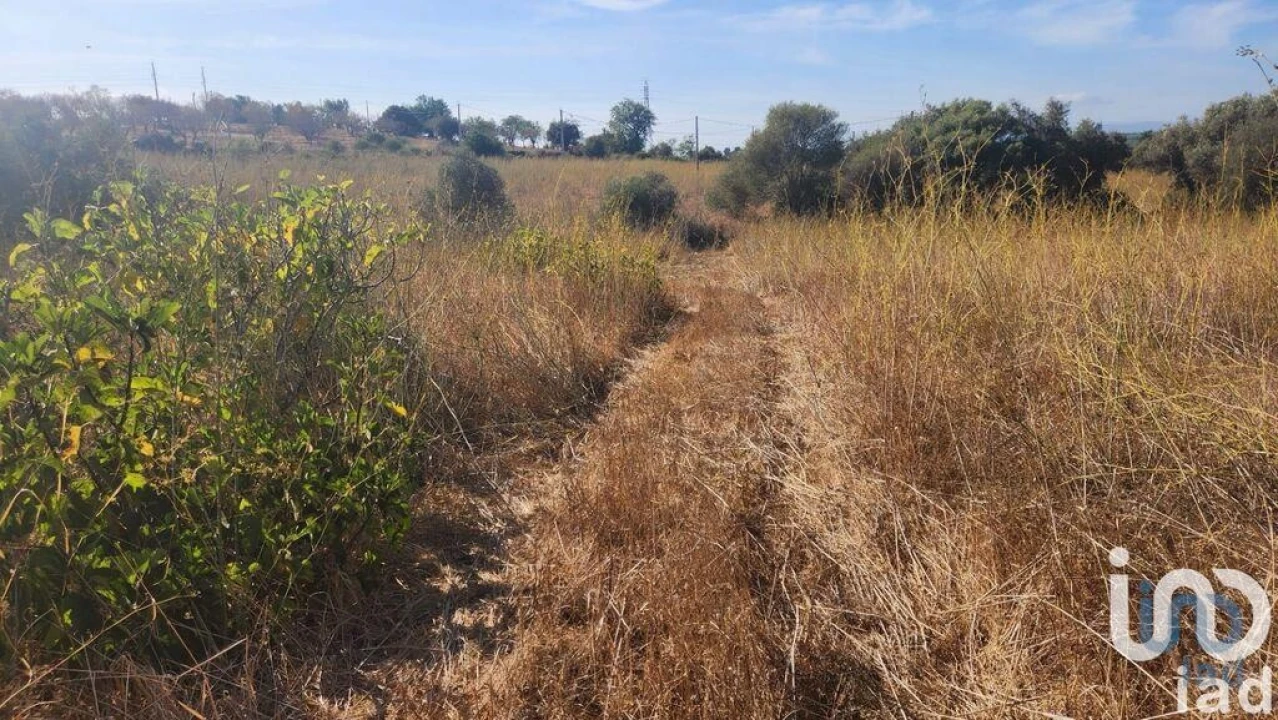 Terreno para Venda em Algoz e Tunes Foto 10