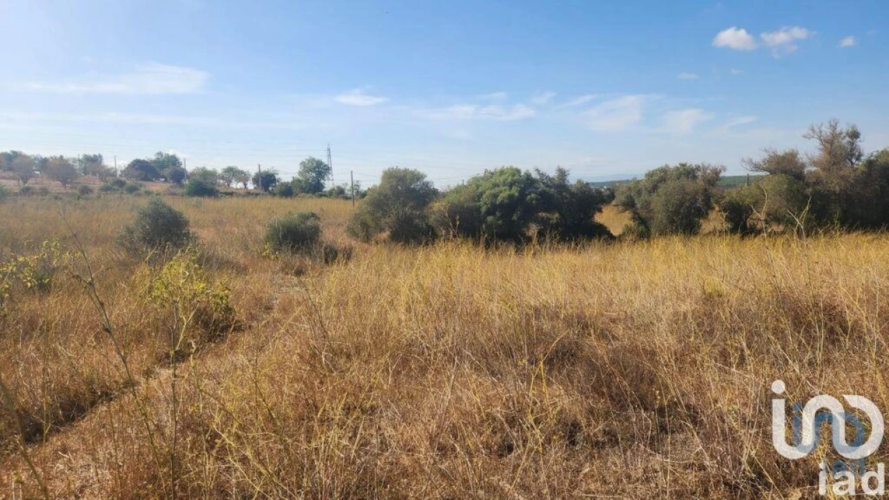 Terreno para Venda em Algoz e Tunes Foto 3