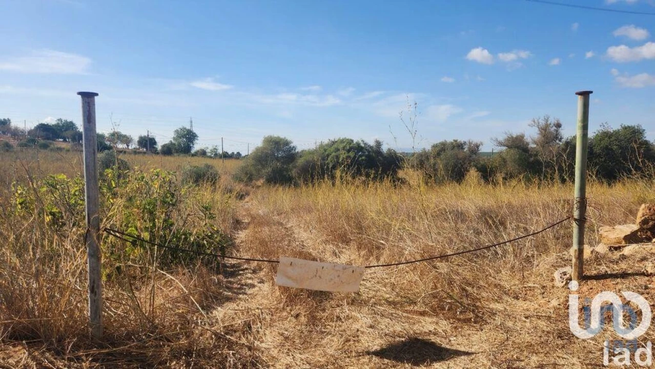 Terreno para Venda em Algoz e Tunes Foto 1