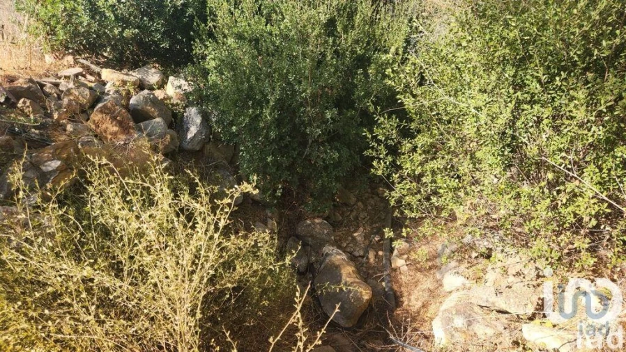 Terreno para Venda em Algoz e Tunes Foto 8