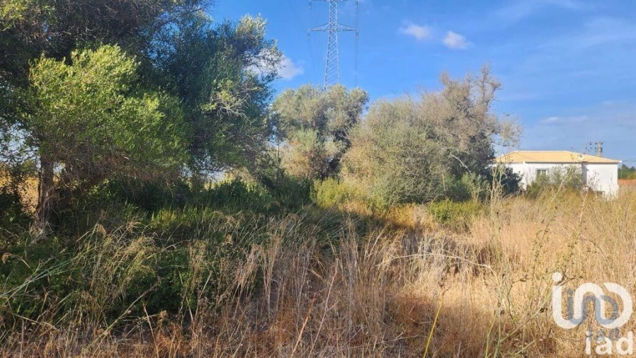 Terreno para Venda em Algoz e Tunes Foto 6