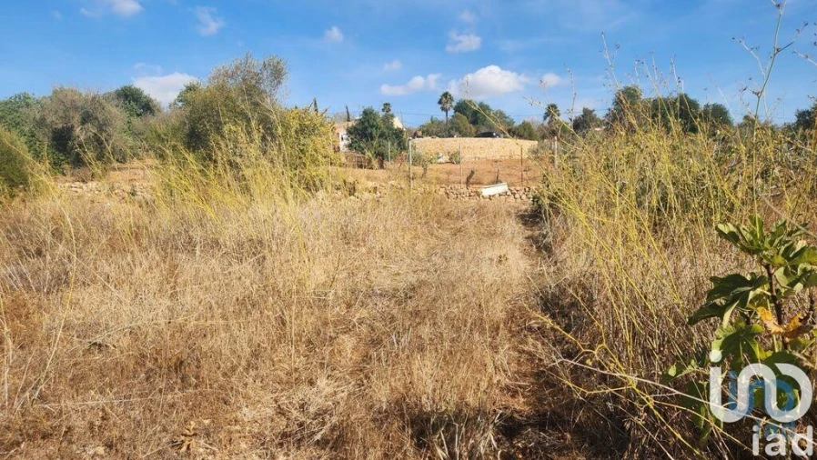 Terreno para Venda em Algoz e Tunes Foto 9