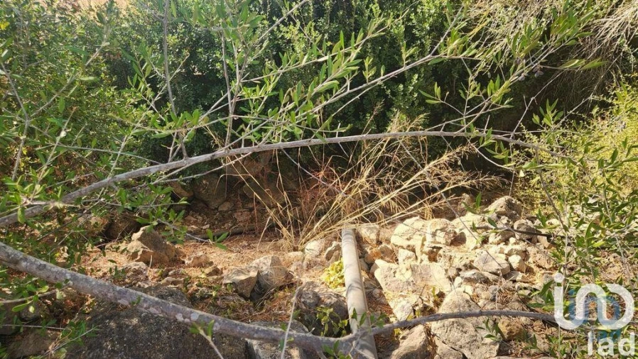 Terreno para Venda em Algoz e Tunes Foto 7