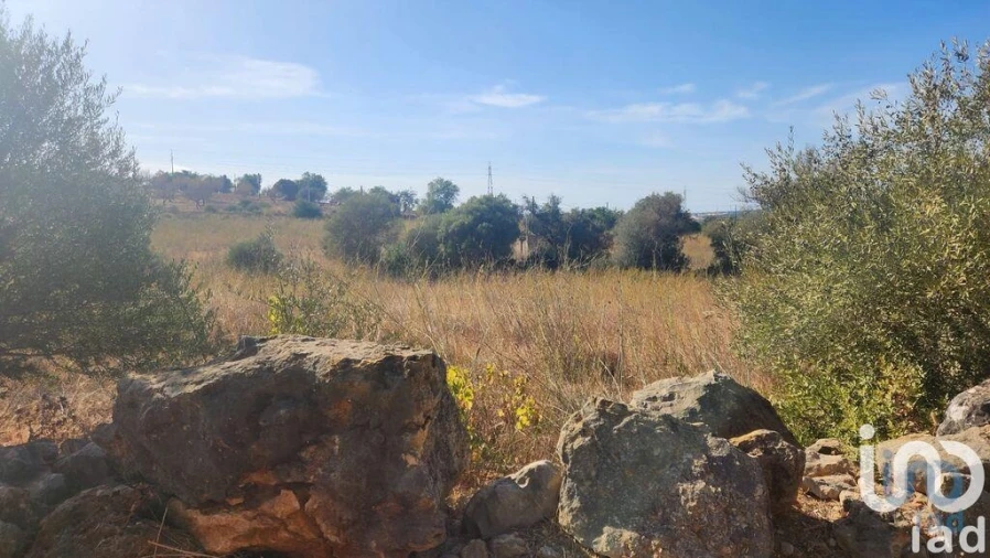 Terreno para Venda em Algoz e Tunes Foto 12