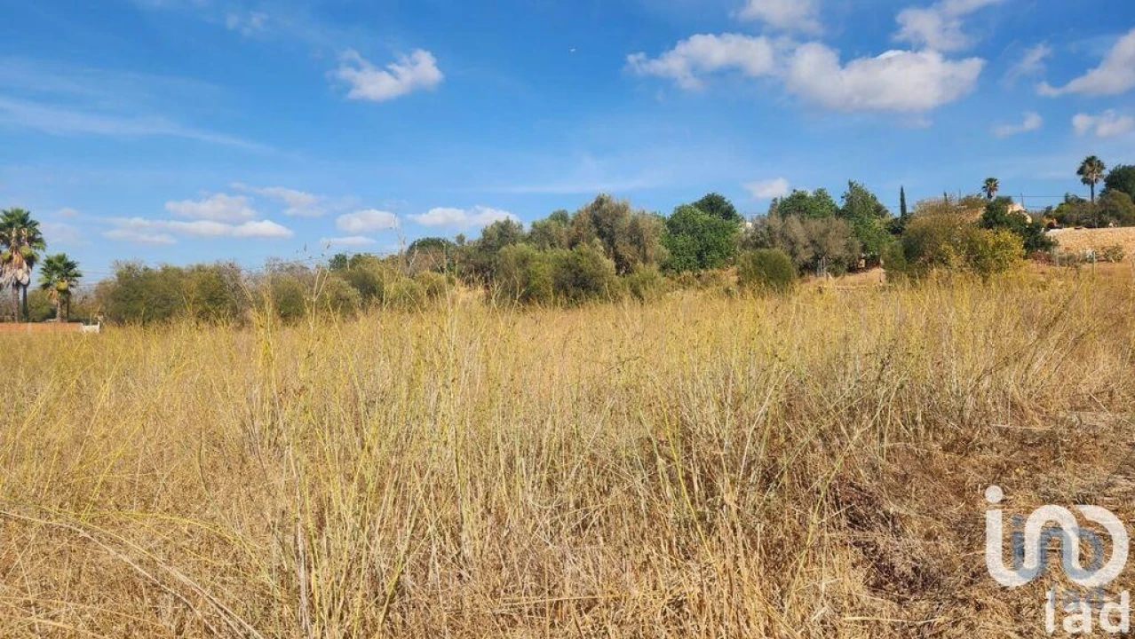 Terreno para Venda em Algoz e Tunes Foto 5