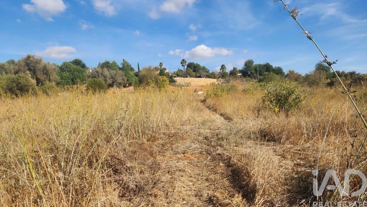 Terreno para Venda em Algoz e Tunes Foto 16