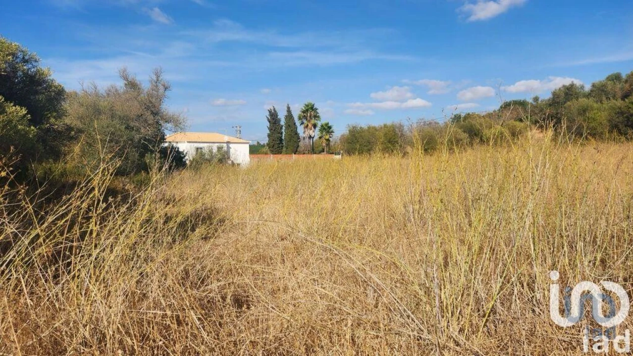 Terreno para Venda em Algoz e Tunes Foto 4