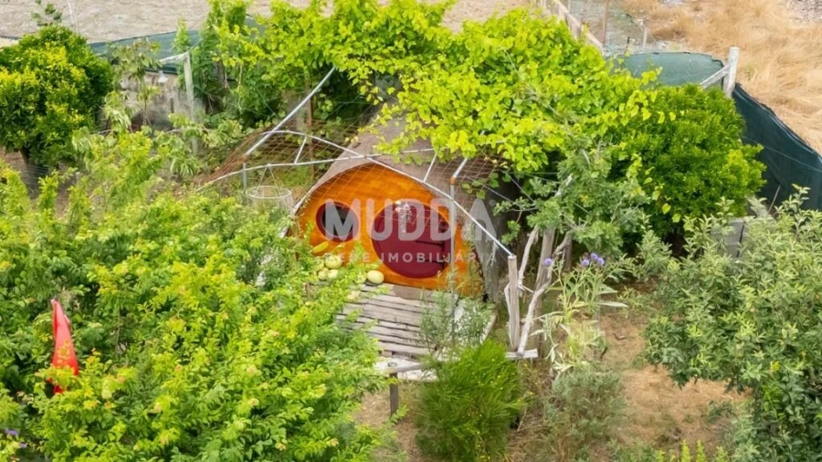 Moradia T3 para Venda em Tornada e Salir do Porto Foto 26