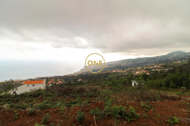Terreno para Venda em Santa Cruz Foto 4