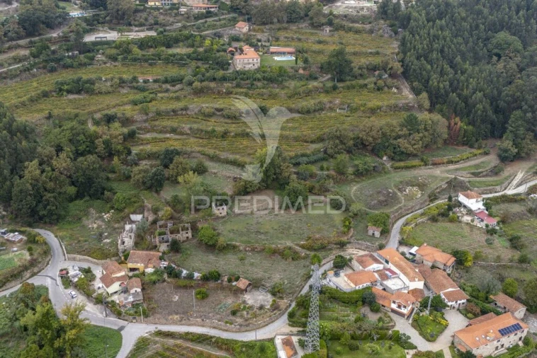 Quinta T6 para Venda em Boelhe Foto 12