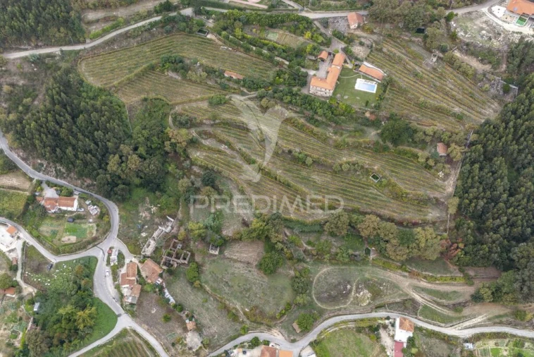 Quinta T6 para Venda em Boelhe Foto 13