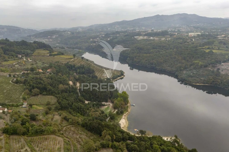 Quinta T6 para Venda em Boelhe Foto 10