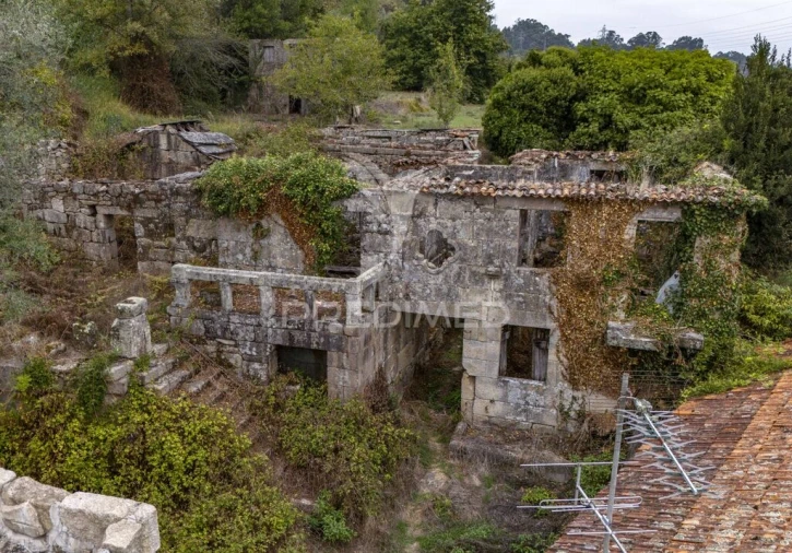 Quinta T6 para Venda em Boelhe Foto 15