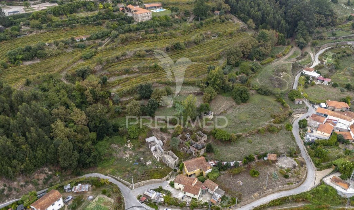 Quinta T6 para Venda em Boelhe Foto 11