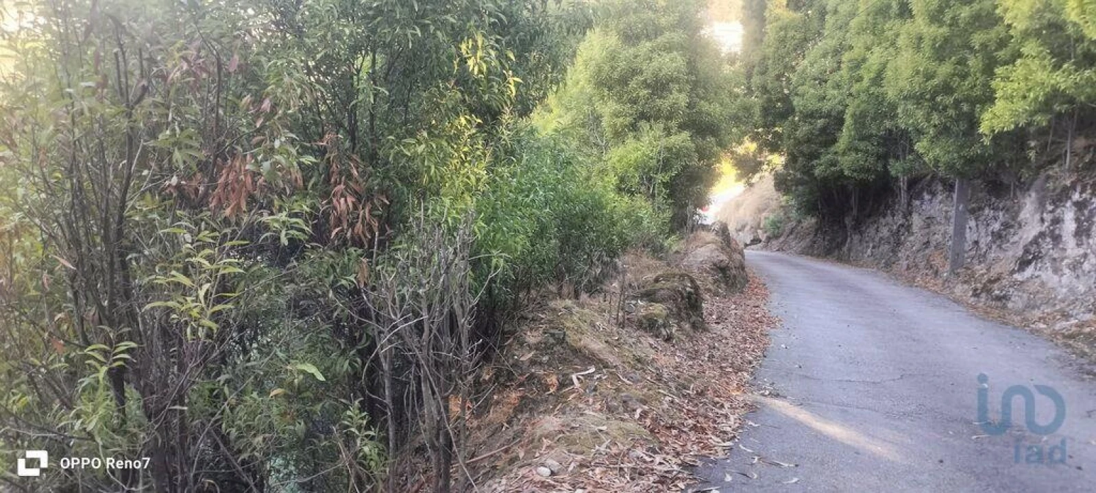 Terreno para Venda em Guilhufe e Urrô Foto 6