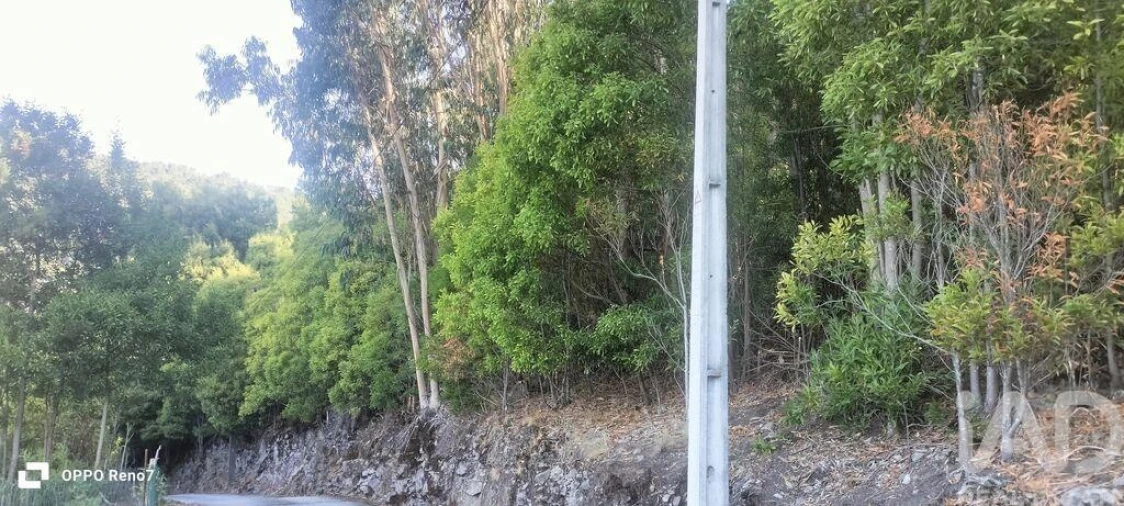 Terreno para Venda em Guilhufe e Urrô Foto 18