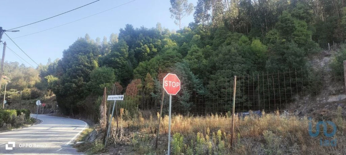 Terreno para Venda em Guilhufe e Urrô Foto 5