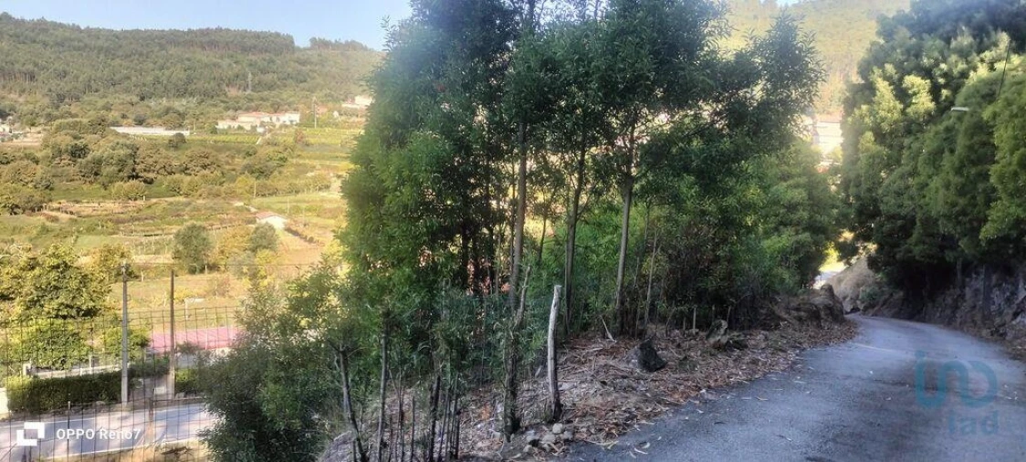 Terreno para Venda em Guilhufe e Urrô Foto 7