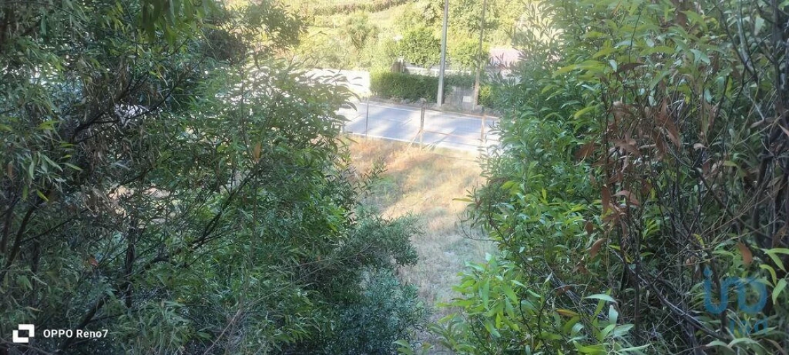 Terreno para Venda em Guilhufe e Urrô Foto 11