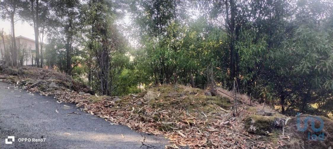 Terreno para Venda em Guilhufe e Urrô Foto 14